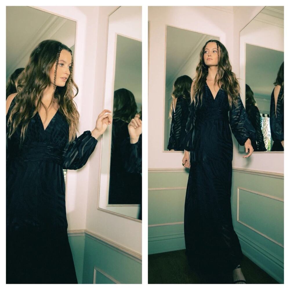 NWT Anthropologie Hutch Jac Maxi Dress Size 0 Black Zebra Burnout Whimsigoth - Picture 1 of 15